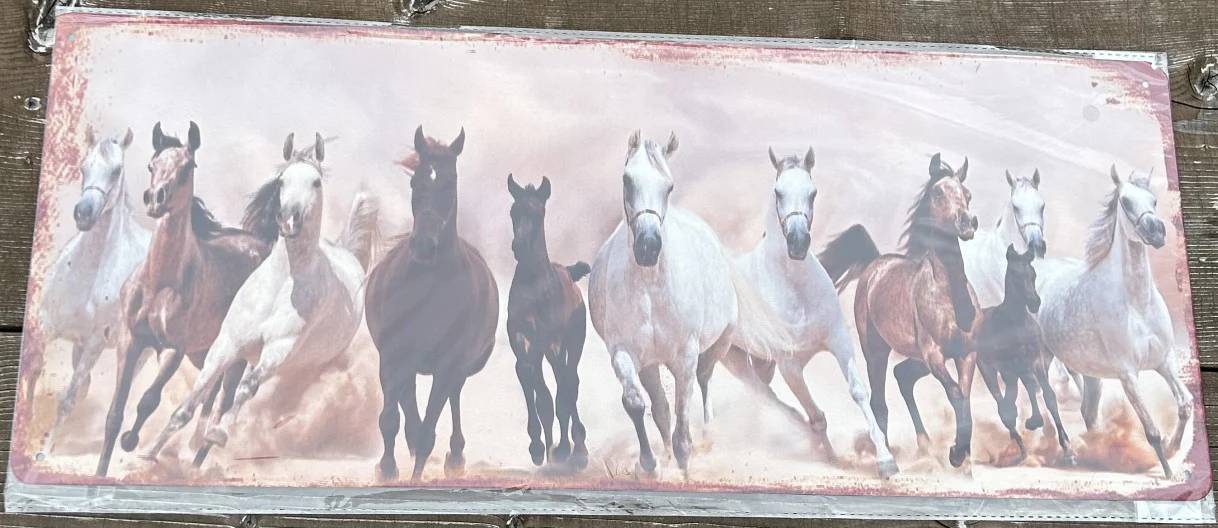 Metalen Wandplaat Paarden – Vintage Look (50×20 cm) - Afbeelding 2