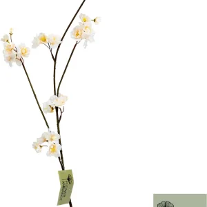 Zijdenbloesem Prunus Malaga Spray – Beige – 84 cm
